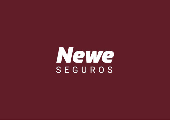 Newe Seguros S.a.